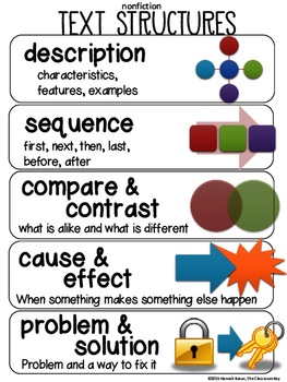 organizational structure compare and contrast