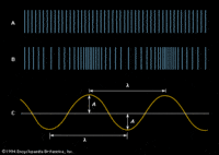 Waves - Grade 10 - Quizizz