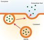 Cell Transport Practice