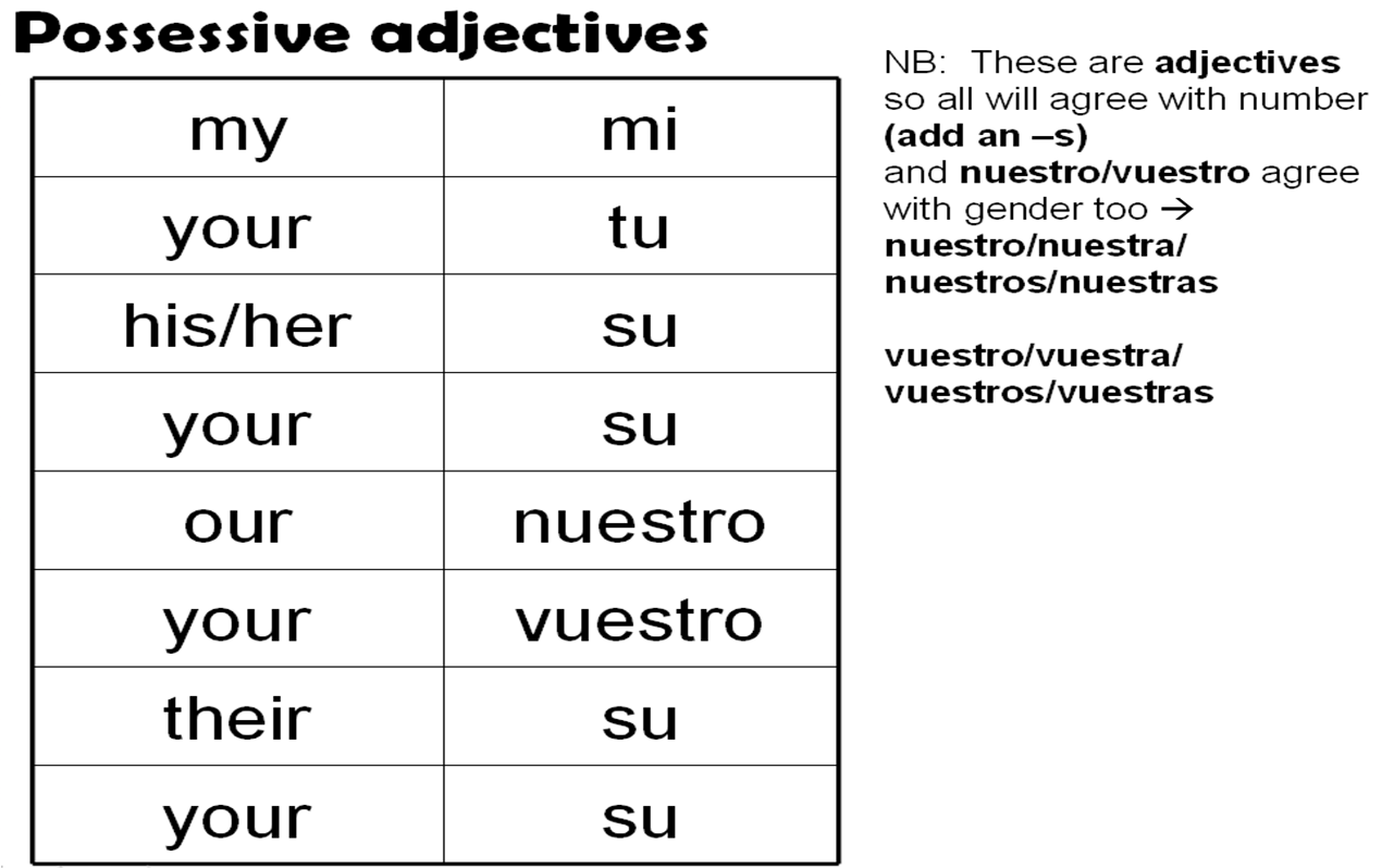 Possessive Adjectives 7-8 | World Languages - Quizizz
