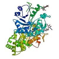 Biología - Grado 7 - Quizizz