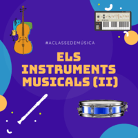 ELS INSTRUMENTS MUSICALS (II)