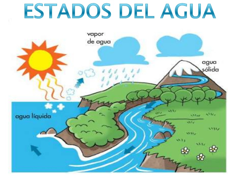 movimientos del agua del océano Tarjetas didácticas - Quizizz