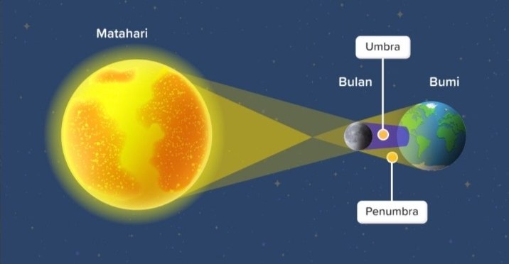 Transformasi - Kelas 5 - Kuis