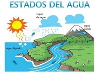 movimientos del agua del océano - Grado 1 - Quizizz