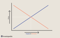 supply and demand curves - Year 9 - Quizizz