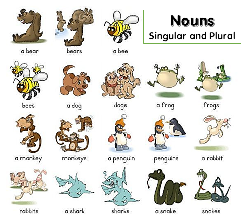 Nouns: Singular and Plural (Animals) | English - Quizizz