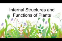 plant parts and their functions - Year 4 - Quizizz