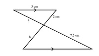 triangles - Grade 11 - Quizizz