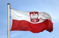 Identyfikacja głównej idei - Klasa 8 - Quiz