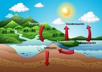 movimientos del agua del océano - Grado 5 - Quizizz