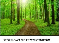 Przymiotniki - Klasa 9 - Quiz