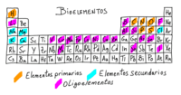 Características del texto de ficción - Grado 11 - Quizizz