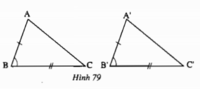 Cổ phần bằng nhau - Lớp 7 - Quizizz