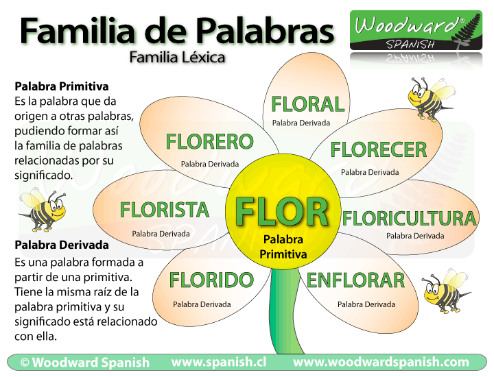 Vocabulario - Grado 7 - Quizizz