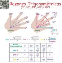 segundas derivadas de funciones trigonométricas - Grado 3 - Quizizz