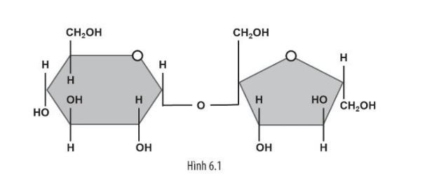 biểu thức hữu tỉ phương trình và hàm - Lớp 3 - Quizizz