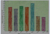 Scaled Bar Graphs Flashcards - Quizizz