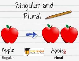 Possessive Pronouns - Class 2 - Quizizz