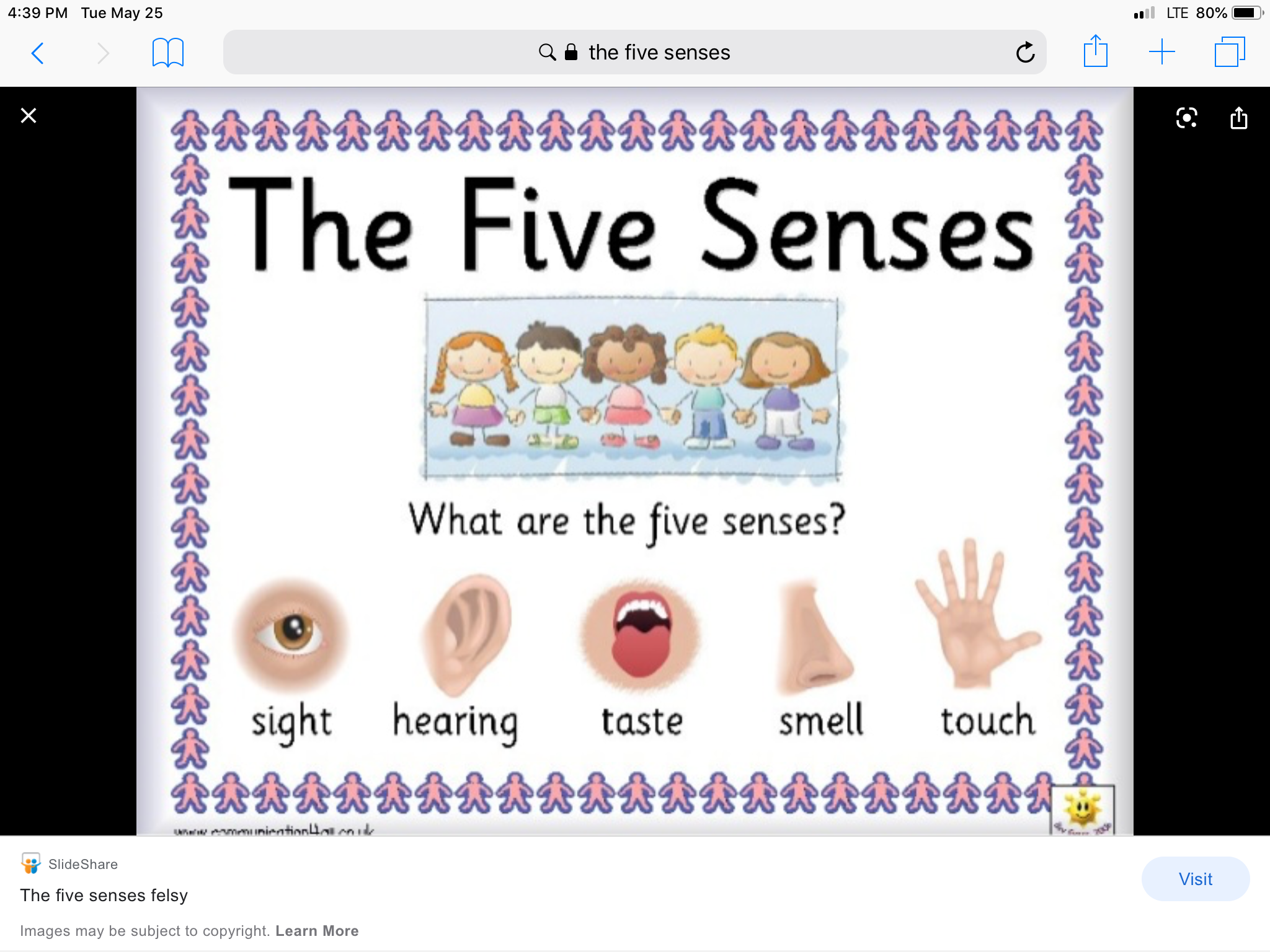 The 5 Senses - Year 7 - Quizizz