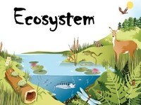 Organism, Population, Community, or Ecosystem