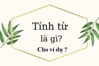 tính từ - Lớp 1 - Quizizz