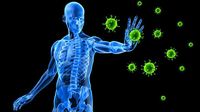 the immune system Flashcards - Quizizz