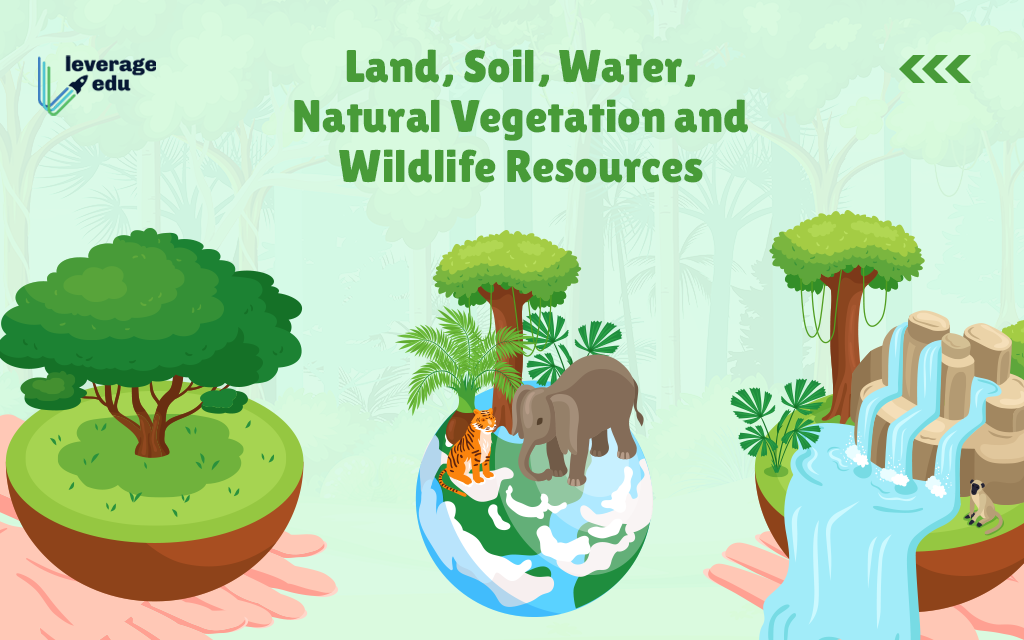 Land,Soil,Water,Natural Vegetation and Wildlife Resources