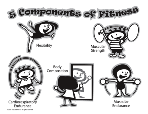 Five Components of Fitness