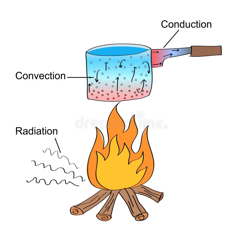 Heat Transfer and Local Winds Quiz