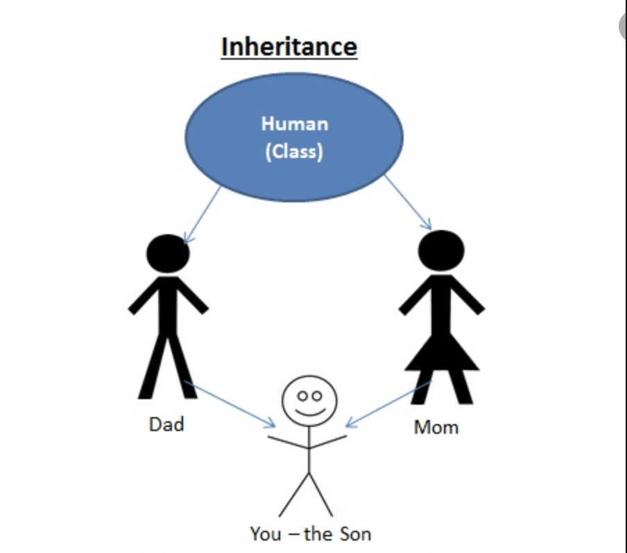 inherited and acquired traits - Year 6 - Quizizz